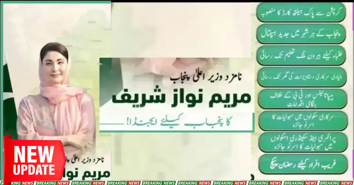 Mehfooz Punjab Agenda of CM Punjab for Help Poor People