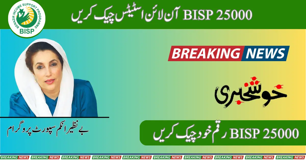 8171 BISP 25000 Check Online Status With CNIC 2025