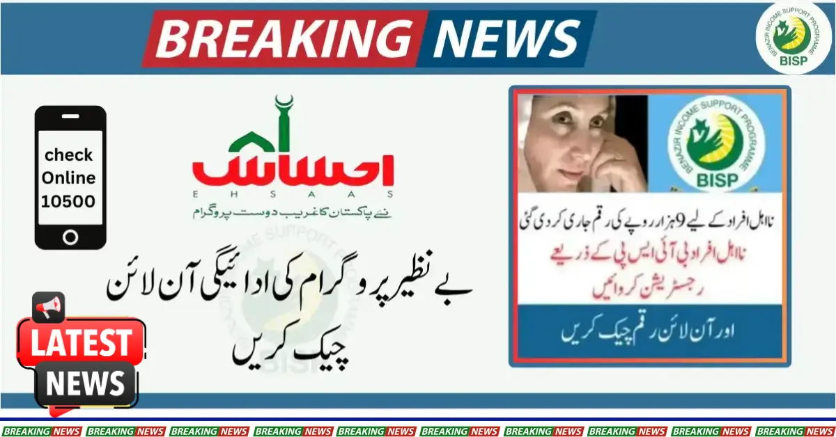 2025 BISP Registration: Online Application and Status Check Update