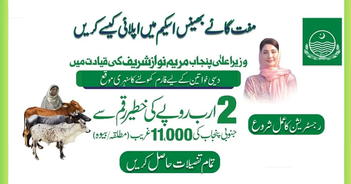 CM Punjab Free Cattle Program Govt Provide 11,000 Free Cows and Buffaloes to Poor Widows