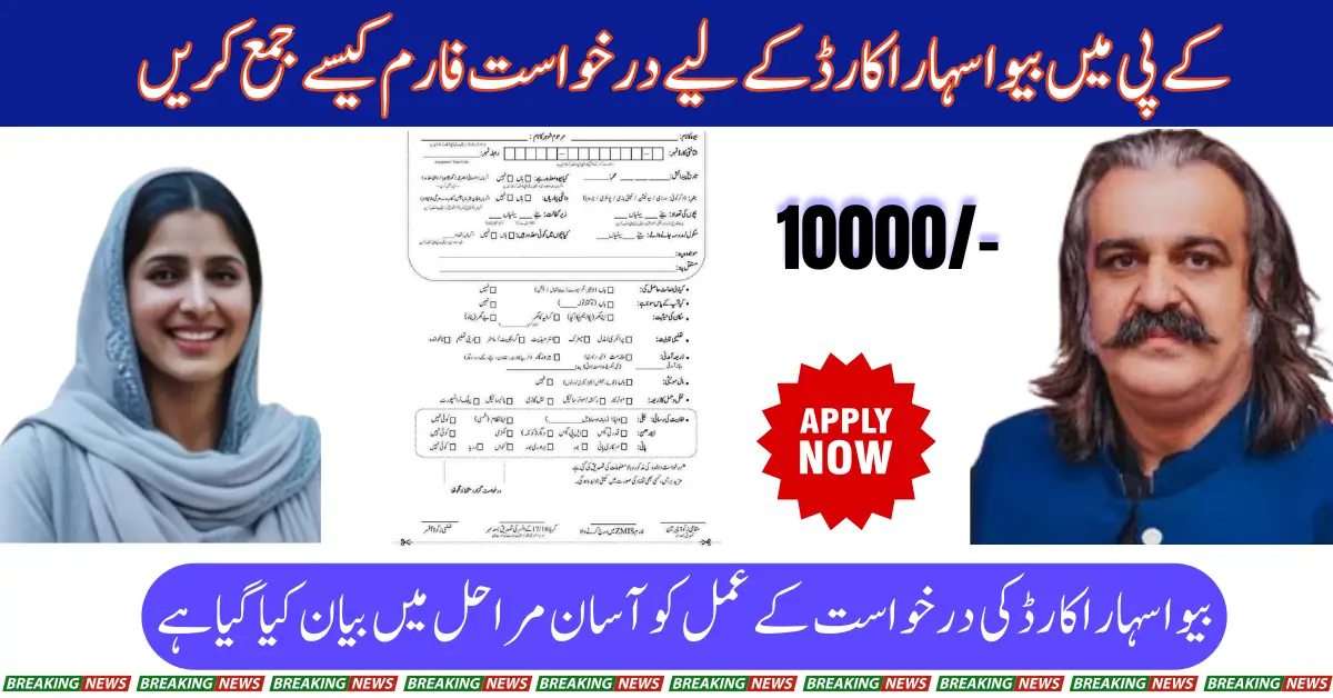 How to Apply for the KP CM Bewa Sahara Card: A Step-by-Step Guide