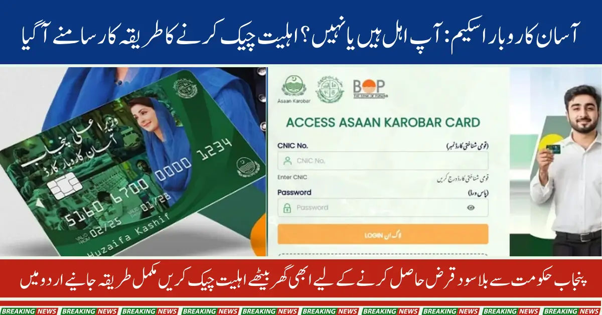 Punjab Asaan Karobar Scheme: How to Check Your Eligibility Step-by-Step