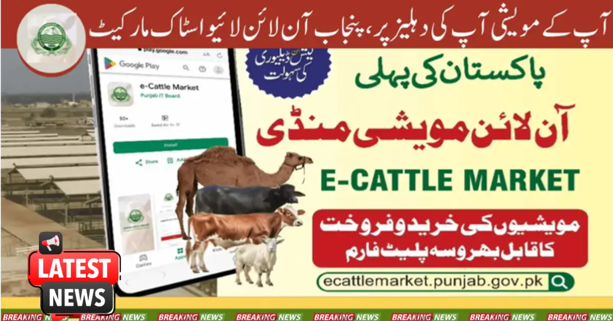 Punjab Online Livestock Market, Your Cattle At Your Doorstep