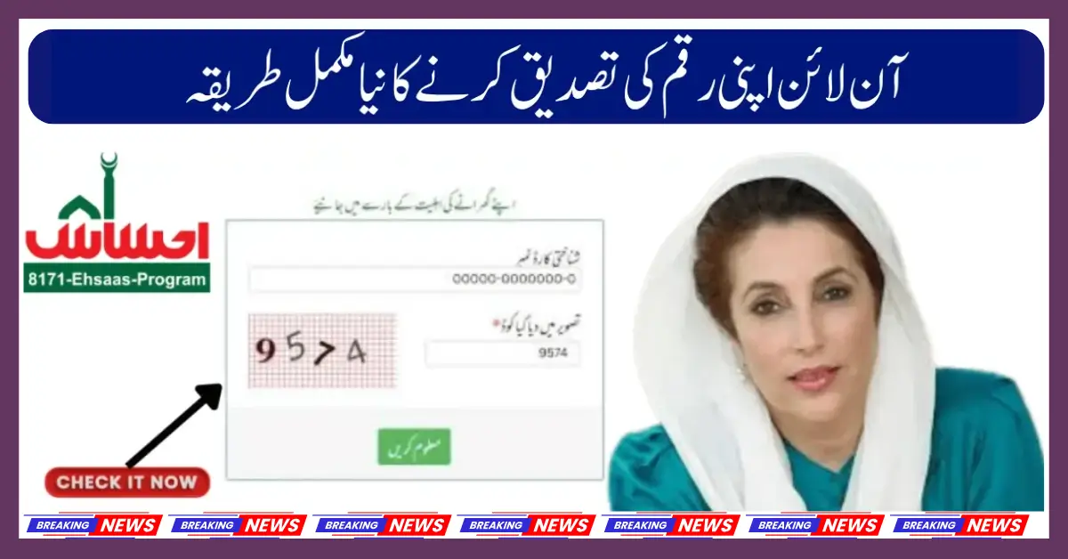 Check 8171 BISP 25000 Payment Status Online via CNIC – Web Portal Guide