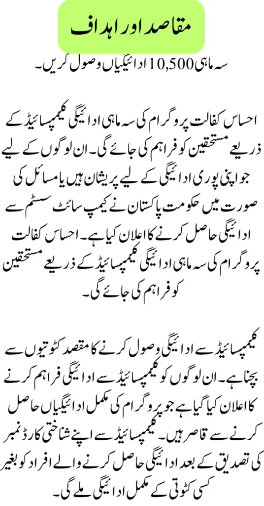 Check Through Ehsaas Kafalat Program Payment Account