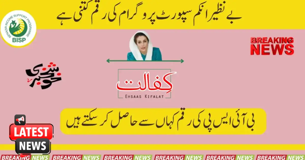 Initiatives of BISP to Provide Assistance to Deserving People