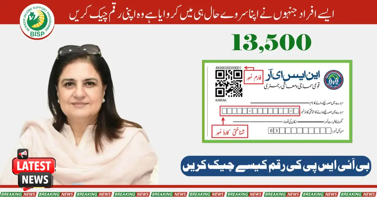 New Update: Check BISP 8171 Registration Status Online by CNIC 2025