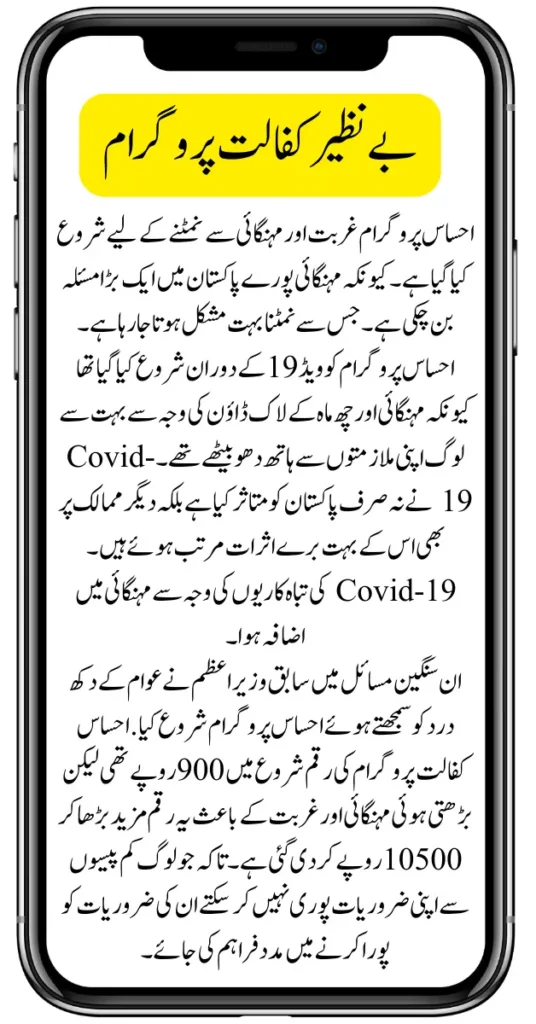 Benazir Kafalat Program Registration Check Online New Update