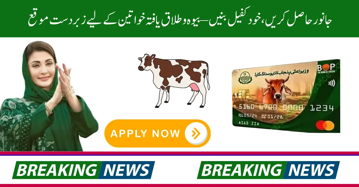 Widows & Divorced Women Aged 18-55 Can Now Apply for CM Livestock Program – Details Here!