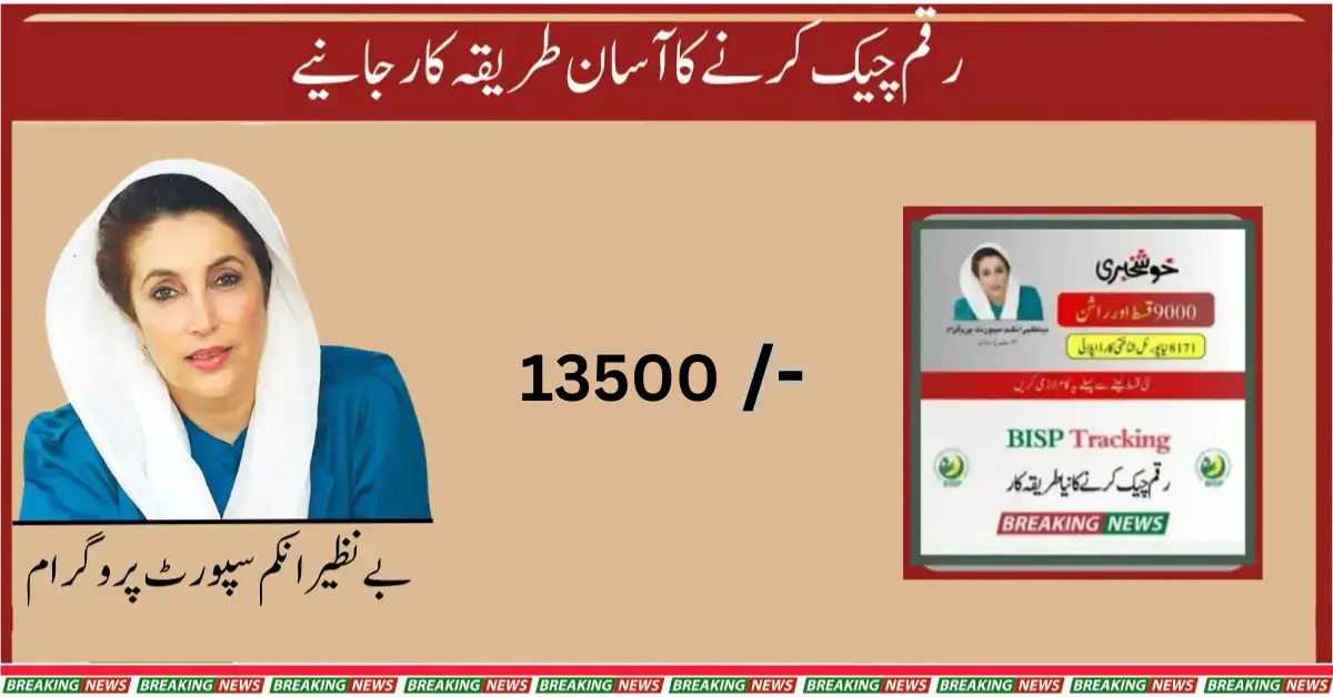 BISP Program Payment Check By SMS 8171 Web Portal