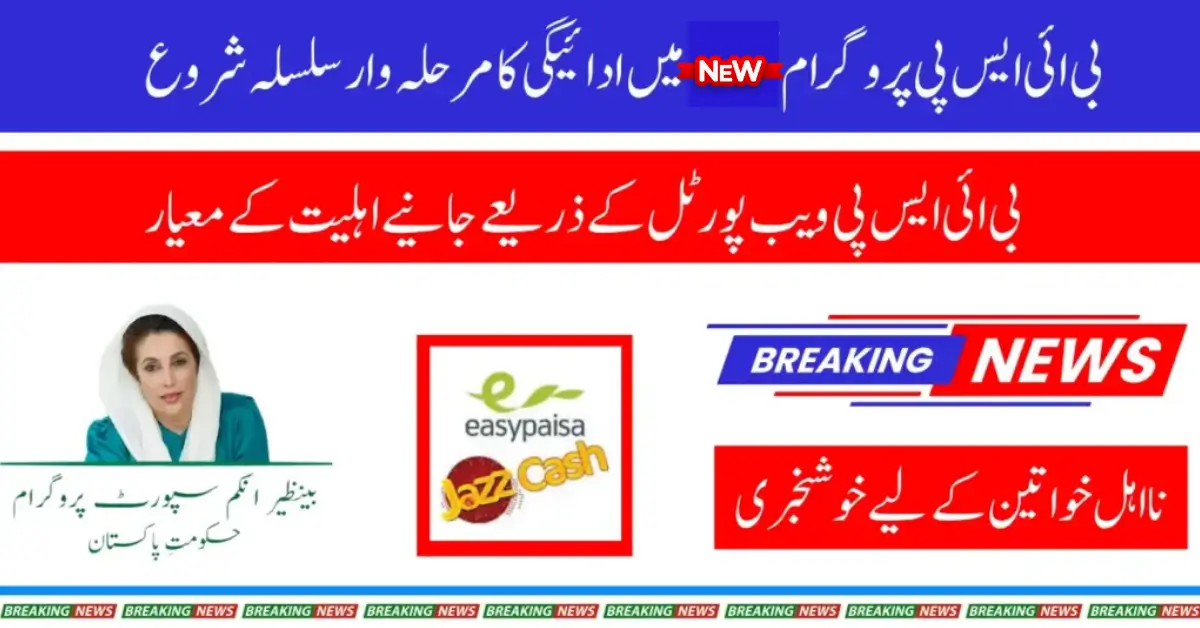 Complete BISP 8171 Phase 3 Guide 2025 Edition: Districts, Payments, and Who Qualifies