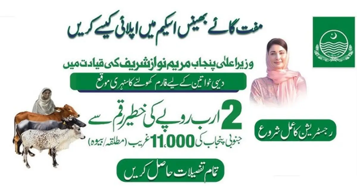 Punjab Govt Conducts Lottery for Widows, Divorced Women to Receive Livestock