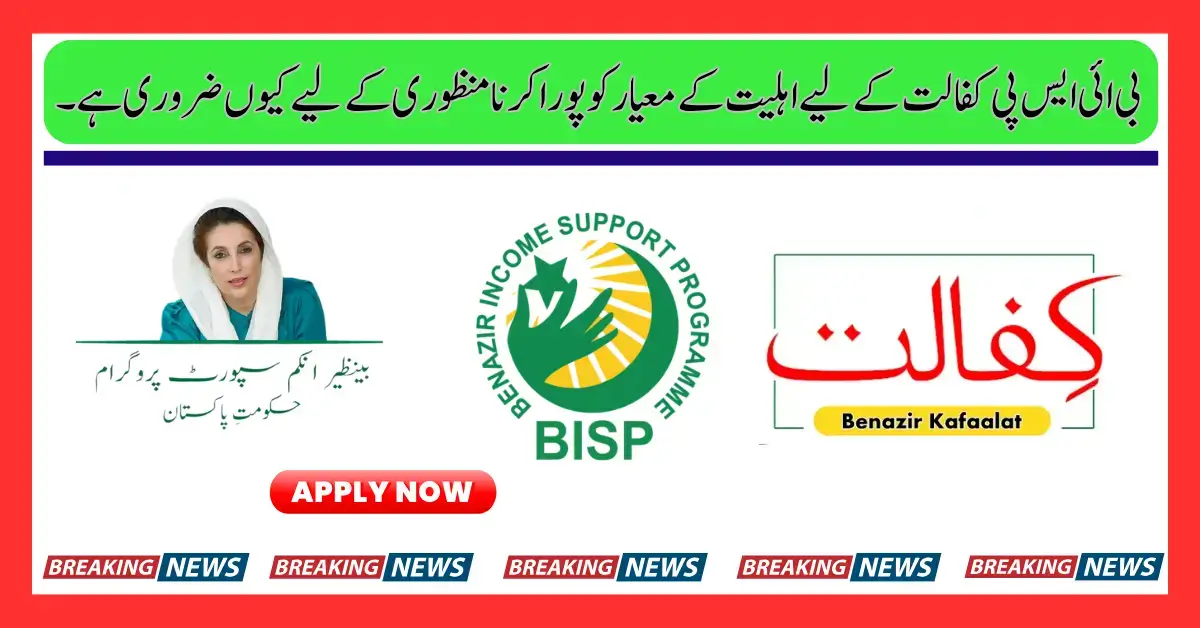 Why is it Important to Meet the Terms & Conditions Before Joining 8171 BISP Kafaalat Program
