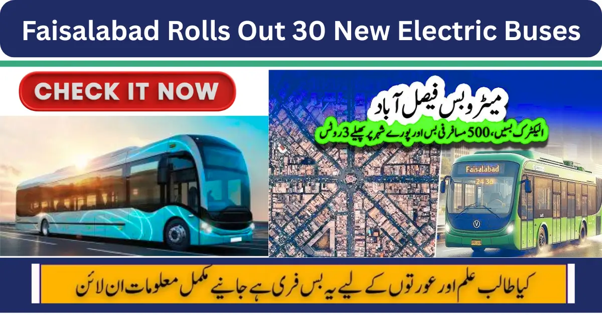 Faisalabad Rolls Out 30 New Electric Buses on Major Routes