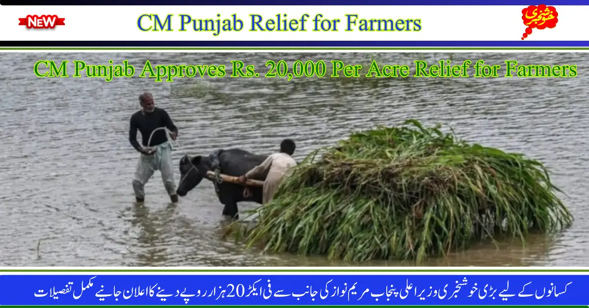 CM Punjab Approves Rs. 20,000 Per Acre Relief for Farmers