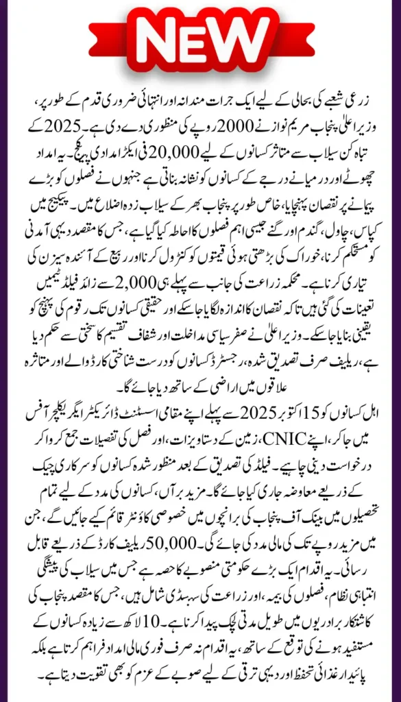 CM Punjab Approves Rs. 20,000 Per Acre Relief for Farmers