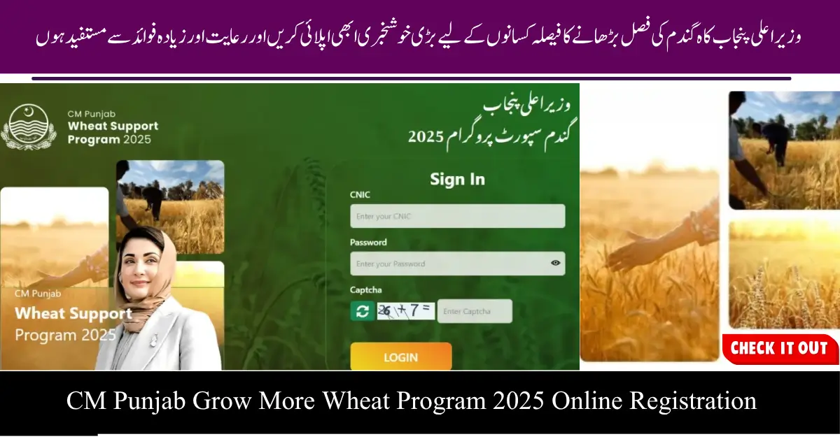 CM Punjab Grow More Wheat Program 2025 Online Registration, Eligibility and Full Benefits Guide