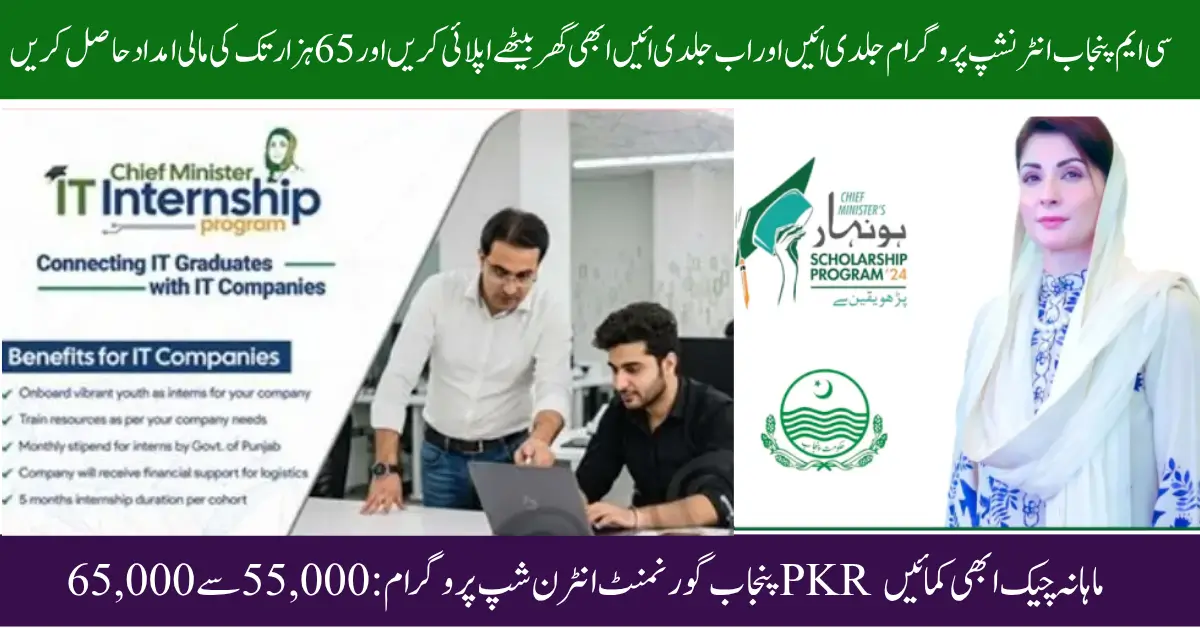 Punjab Government Internship Program: Earn 55,000 to 65,000 PKR Monthly Check Now